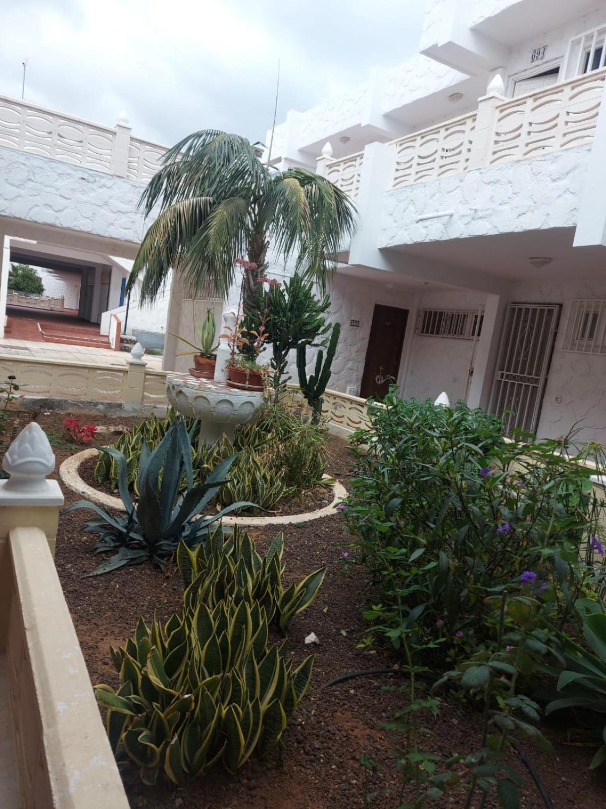 Ferienwohnung Casa Papagayo Arona  Exterior foto